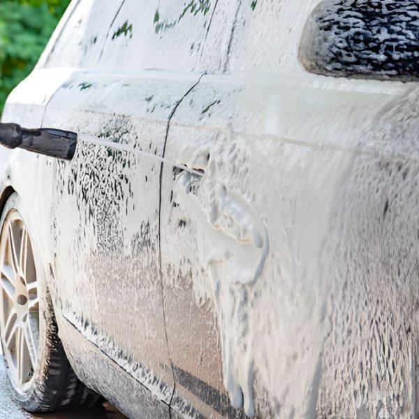 steptodown.com590597